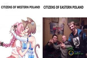 Західні та східні лоляки.jpg