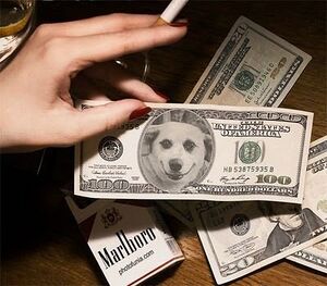 Dog on United States one hundred-dollar bill.jpg