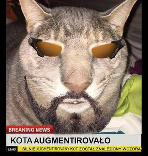 Properdolilo 2.jpeg