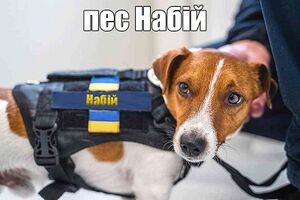 Набій проти кацапів.jpg