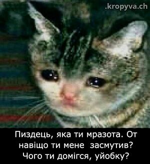 19e14af5-5ef2-4899-8ef5-f6b3d9ef38e8.jpg