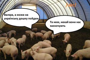 Сосач укр.jpg