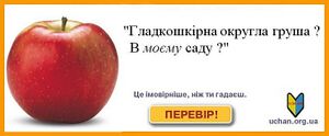 Гладкошкіра округла груша.jpg