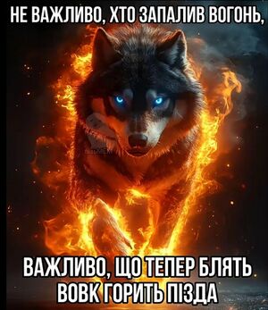 Цитати з вовком укр.jpg
