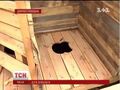 Мініатюра для версії від 16:04, 2 січня 2025