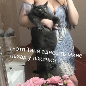 Kotyky cycky.jpg