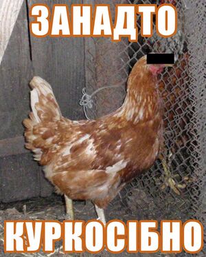 Занадто куркосібно.jpg