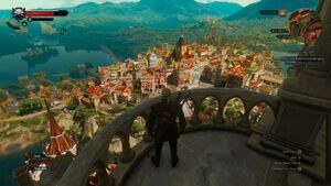 Witcher 32.jpg