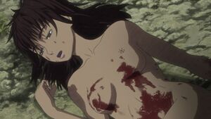 Berserk 10485-23.jpg