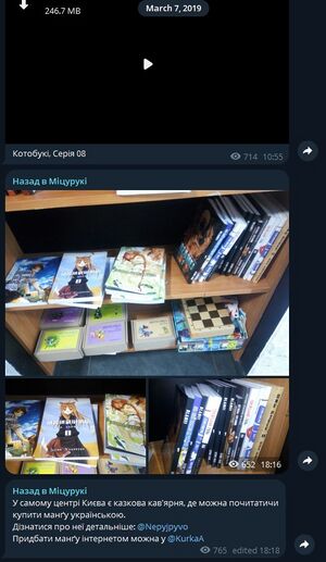 Міцурукі 2019 3.jpg