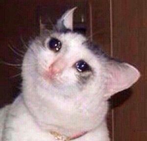 Crying Cat withheld tilted.jpg