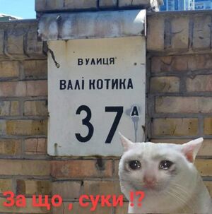Crying Cat 5.jpg