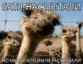 Мініатюра для версії від 21:32, 11 червня 2025