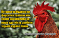 Мініатюра для версії від 11:02, 10 липня 2025