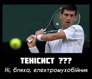 Електромухобійка2.jpg