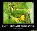 Власне, тут нічого додати.