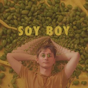 Soyboy e.jpg