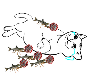 Коронокотик.png