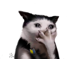 1669329866.882512-.png