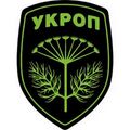 Мініатюра для версії від 00:06, 21 липня 2025
