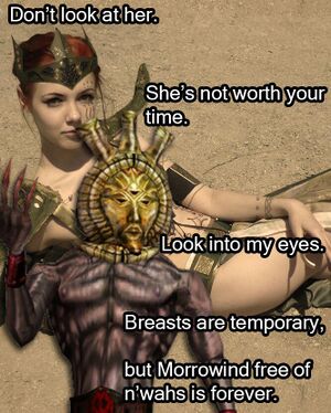 Morrowind 2.jpg