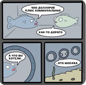 Крейсер москва.jpg