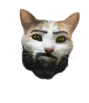 Giga cat.png