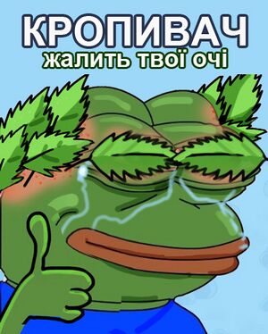 Pepe-kropyvach2017 2.jpg