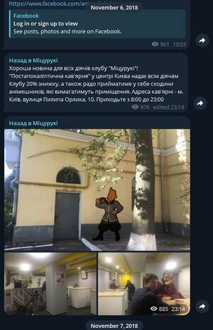 Міцурукі 2018 2.jpg