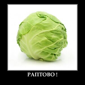 Раптово капуста.jpg