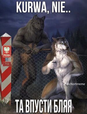 Фуррі поляки.jpeg