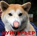 Іще раз