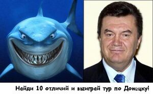 Find differences.jpg