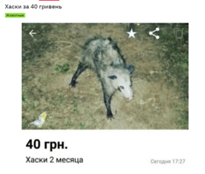 40 грн вигідна пропозиція.png