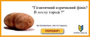 Гігінтичний коричневий хвінік.jpg