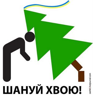 00ce82be7e41.jpg