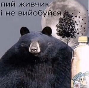 Живчик 14.jpg