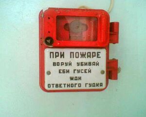 Rekjjbg833.jpg