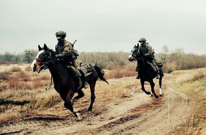 Польська кіннота.jpg