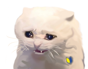 1668798232.772775-.png