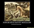 Мініатюра для версії від 09:04, 25 липня 2024