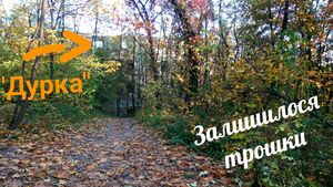 Моміджі гарі 2017 4.jpg
