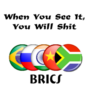 Brics.png